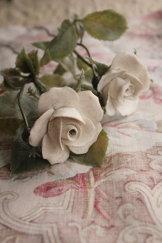 Vintage Long Stem China Roses - Pairing No.3