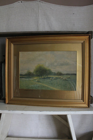 Old Print - By Meadow And Stream