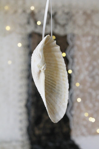 Old Shell Decoration - two