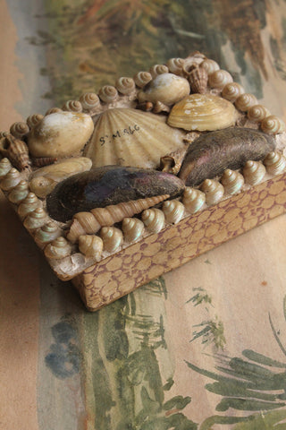 Hand Made Shell Box
