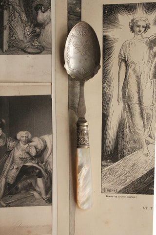 Beautiful Mother of Pearl Etched Spoon
