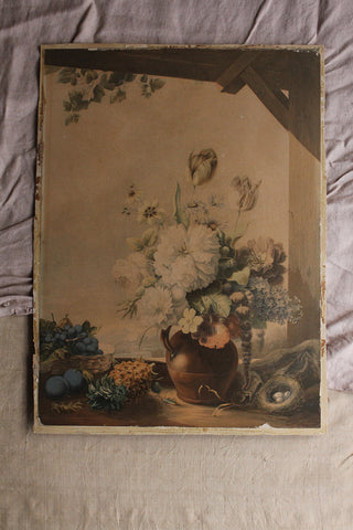 Old Hand Coloured Engraving