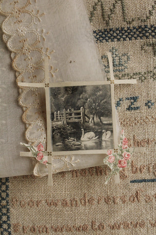 Paper Detail - Swan Lake