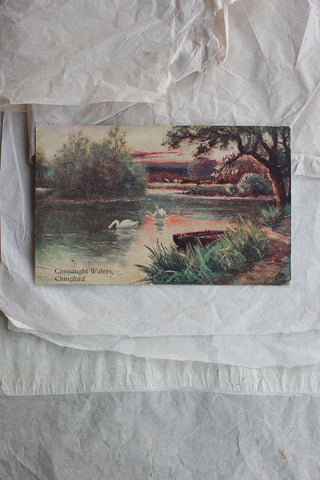 Old Postcard - Swans on the Lake