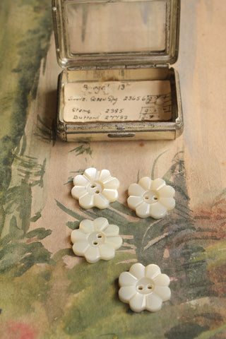 Mother of Pearl Buttons In An Old Watchmakers Box