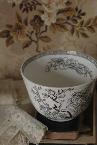 Coalport Bowl