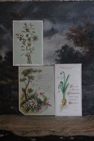 Old Greetings Cards - Collection Two
