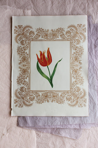 Beautiful Reclaimed Victorian Scrapbook Page - Hand Painted Tulip in a Gold Frame