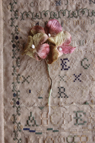 Velvet Flowers