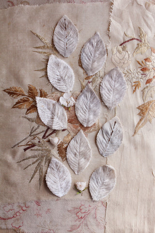Velvet Leaves and Silk Roses