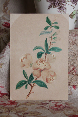 Hand Painted & Printed Stylised Victorian Floral Study