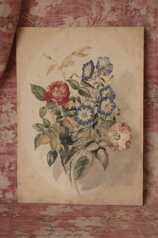 Beautiful Botanical Watercolour Sketch