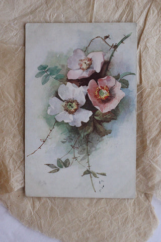Two Old Thirties Floral Postcards