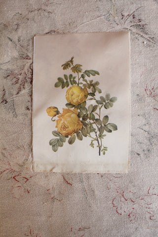 Vintage Faux Silk Printed Panel - Yellow Rose