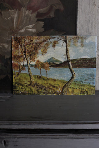 Old Scottish Miniature Painting - Birch Trees