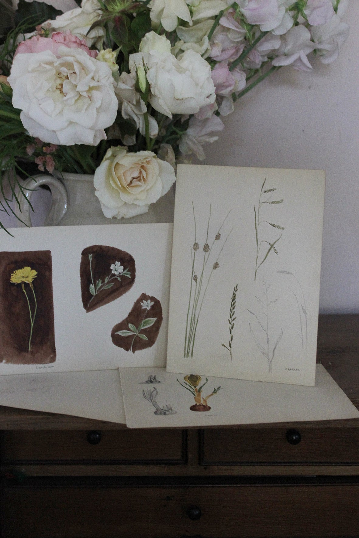 Beautiful collection of botanical drawings and paintings (collection 1)