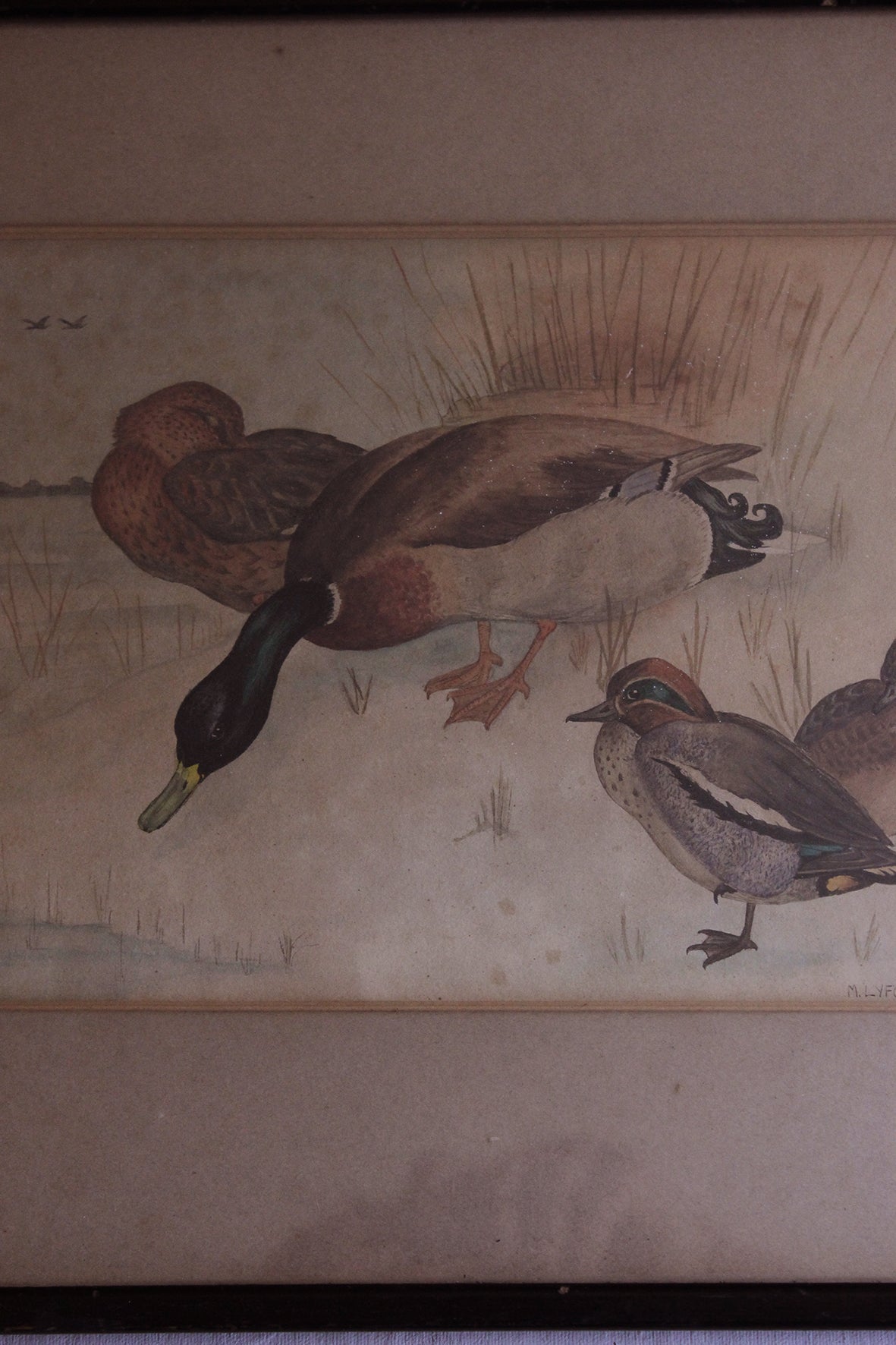 Old Framed Watercolour Painting - Family of Ducks