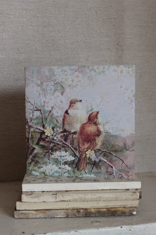 fledglings