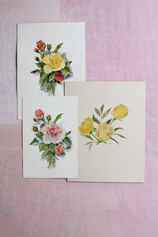 Vintage Floral Sketchbook collection 5