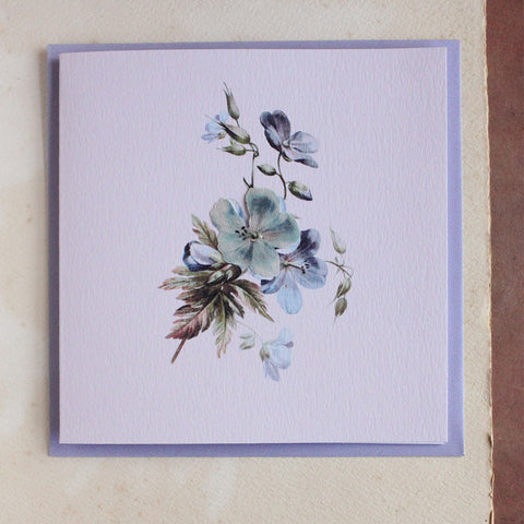 Geranium