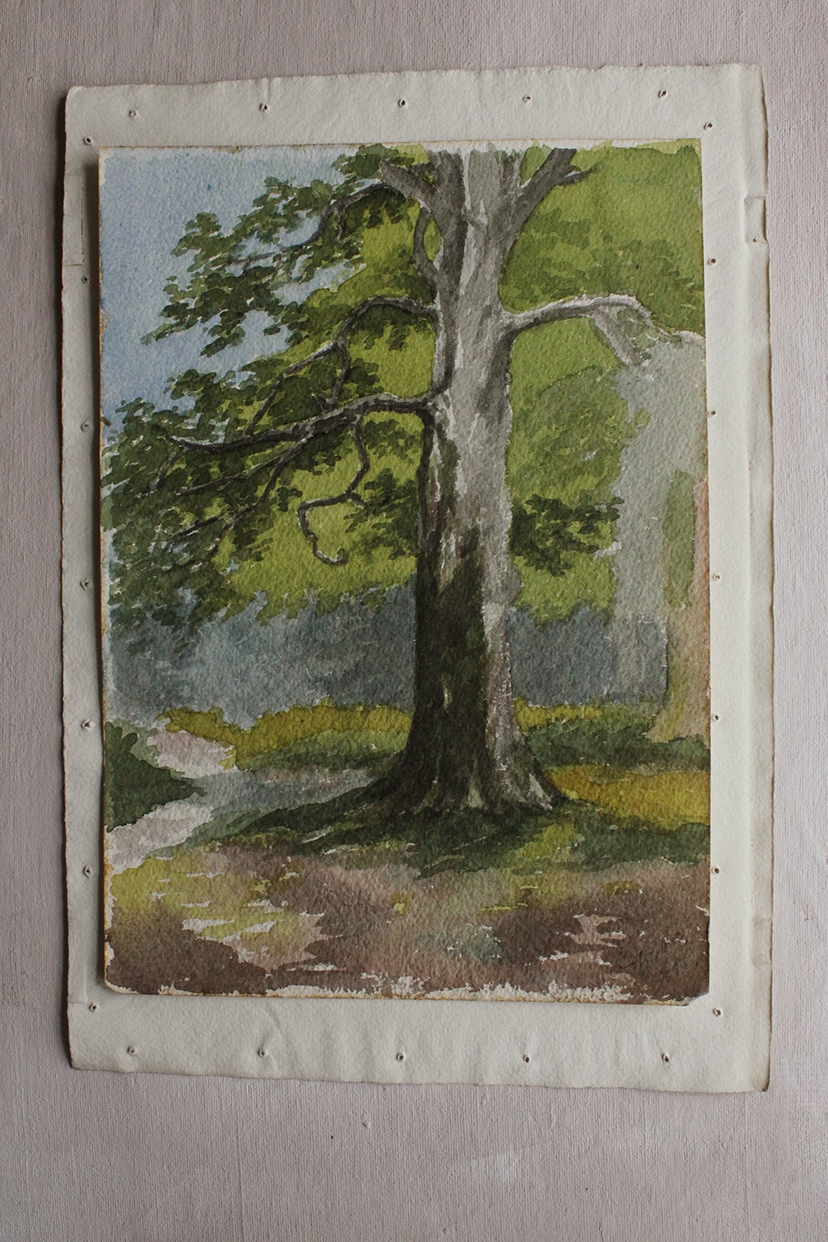 Old Watercolour Painting - The Old Tree