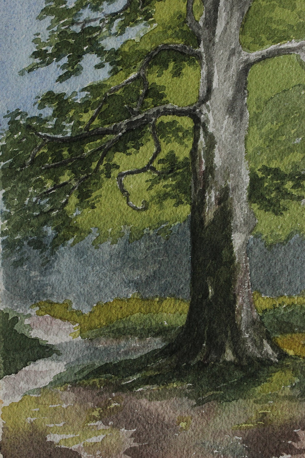 Old Watercolour Painting - The Old Tree