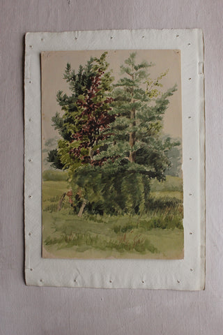 Old Watercolour Painting - Family of Trees