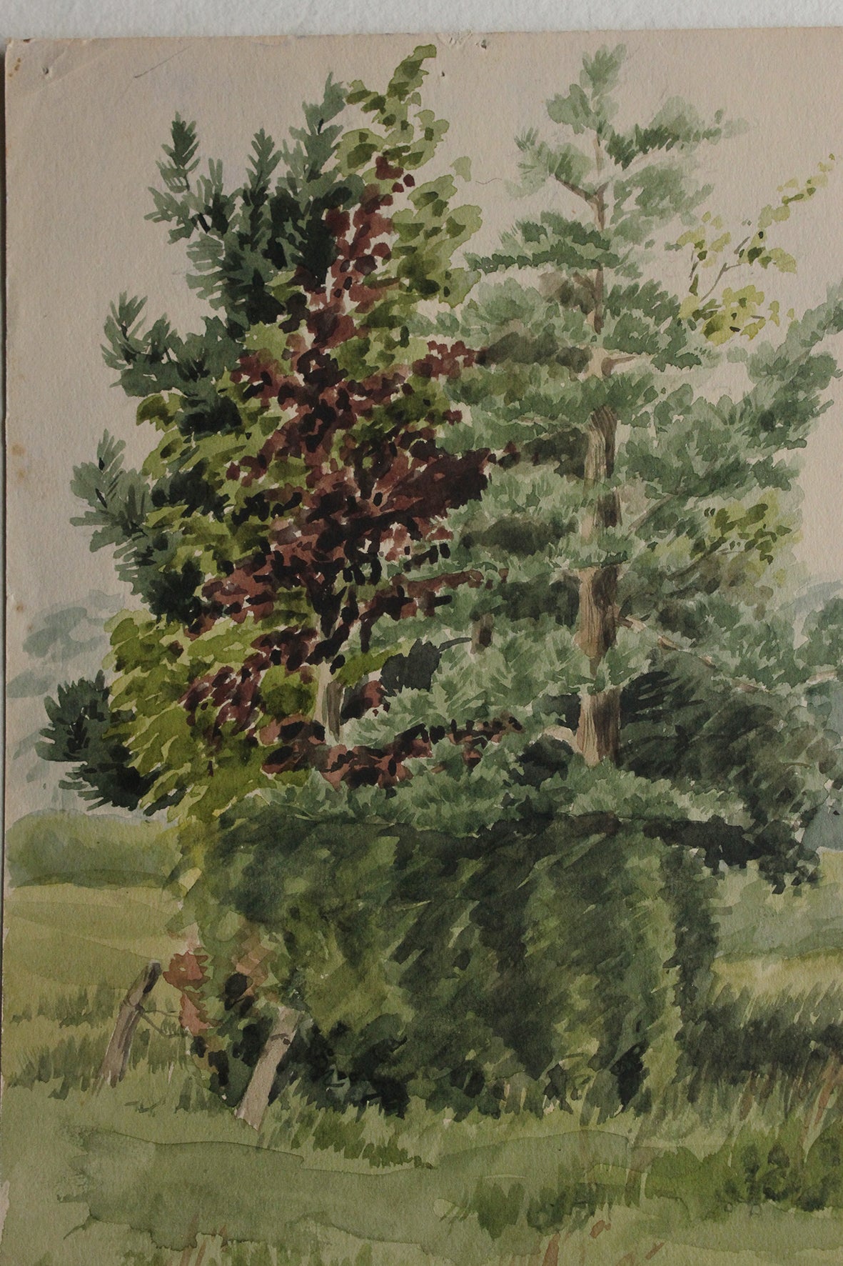 Old Watercolour Painting - Family of Trees