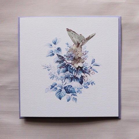 Porcelain & Butterfly