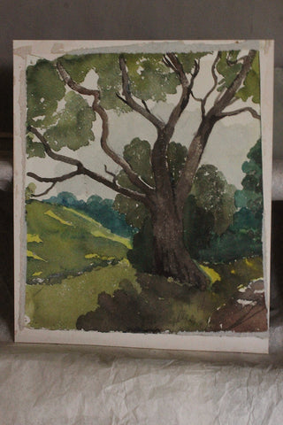 Vintage Woodland Watercolour on Board