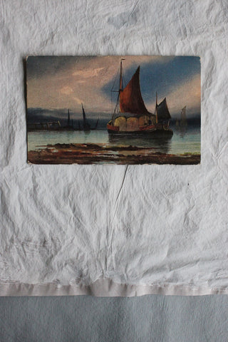Vintage still life sea shells (4)